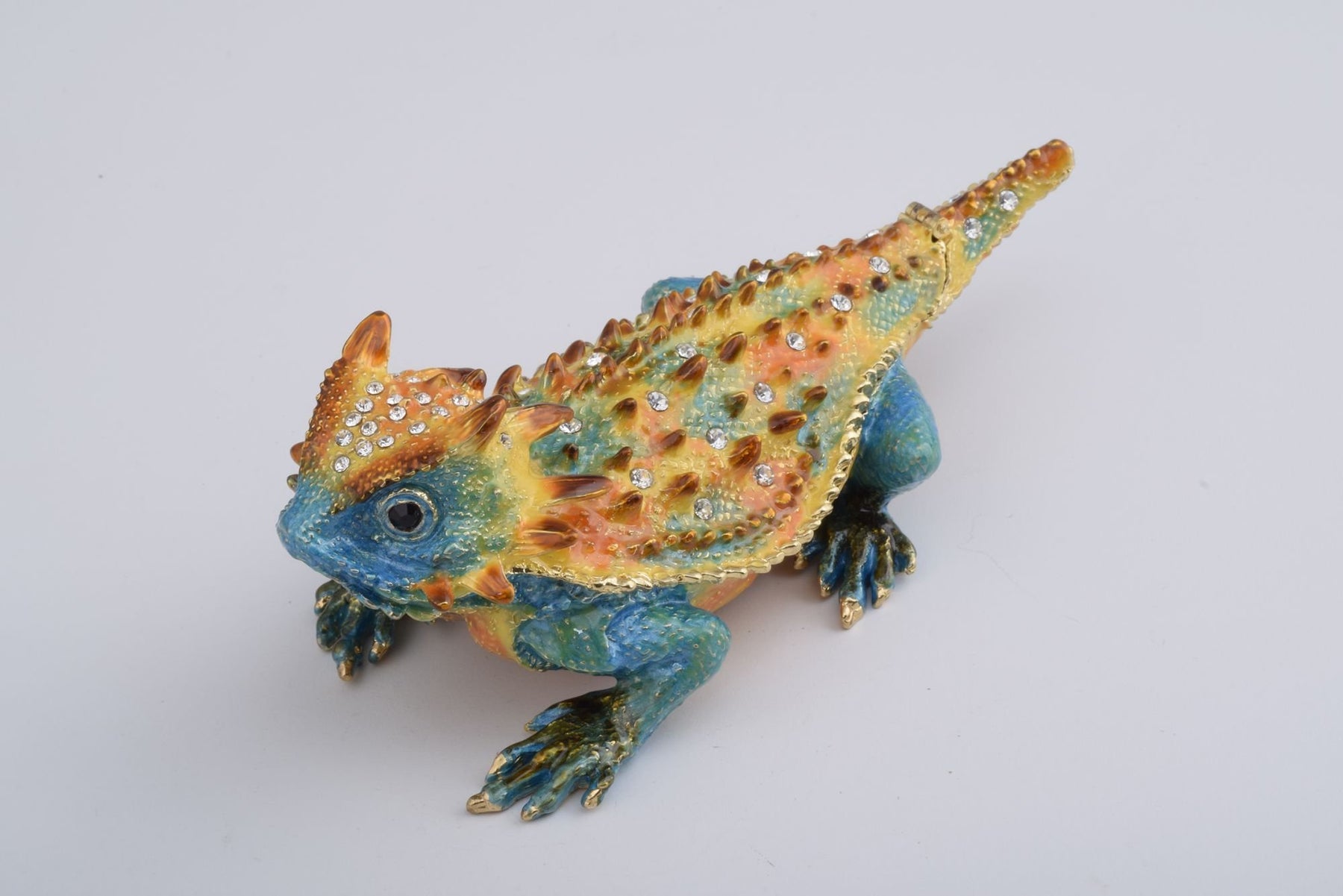 Keren Kopal Blue & Yellow Agama Dragon
