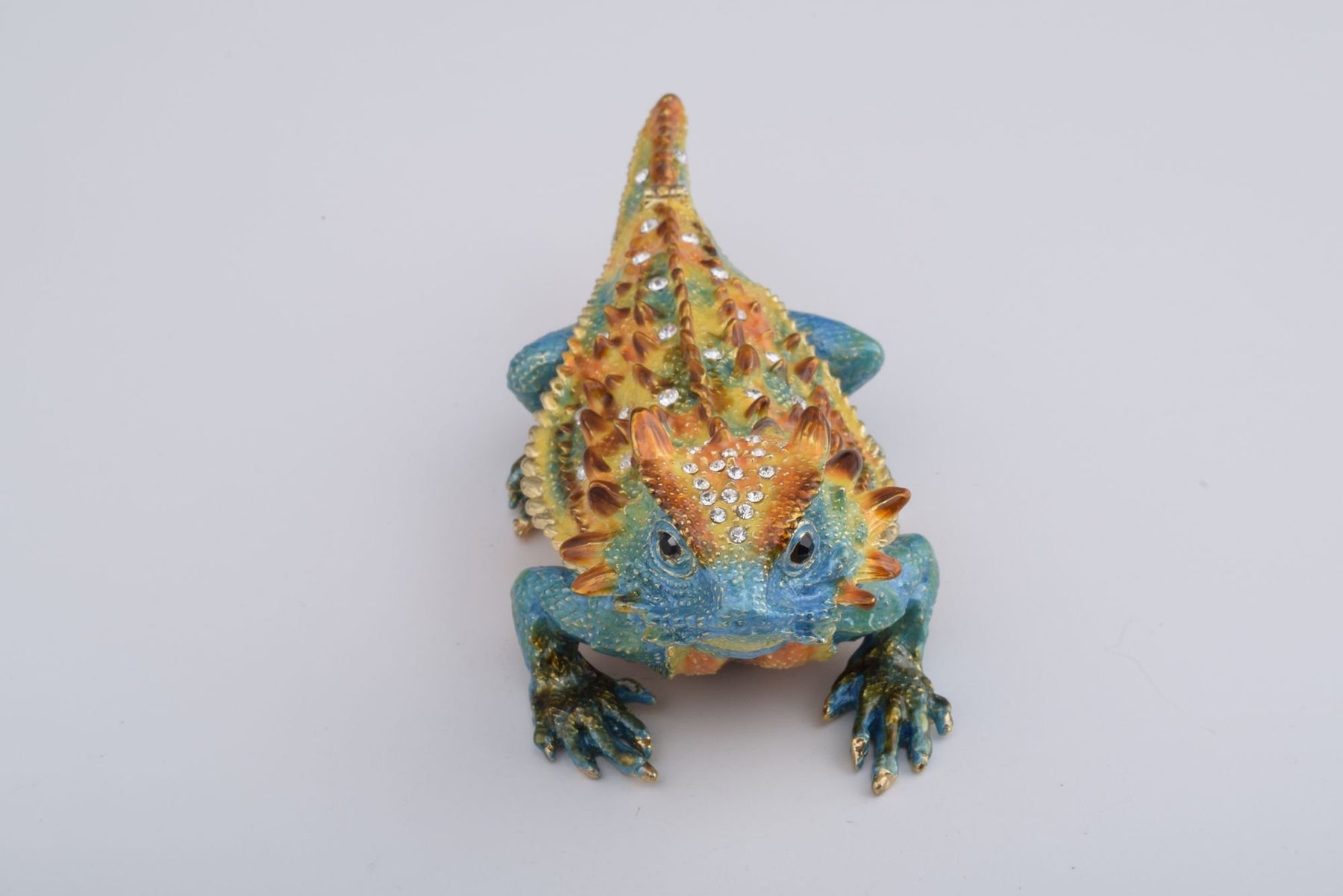 Keren Kopal Blue & Yellow Agama Dragon