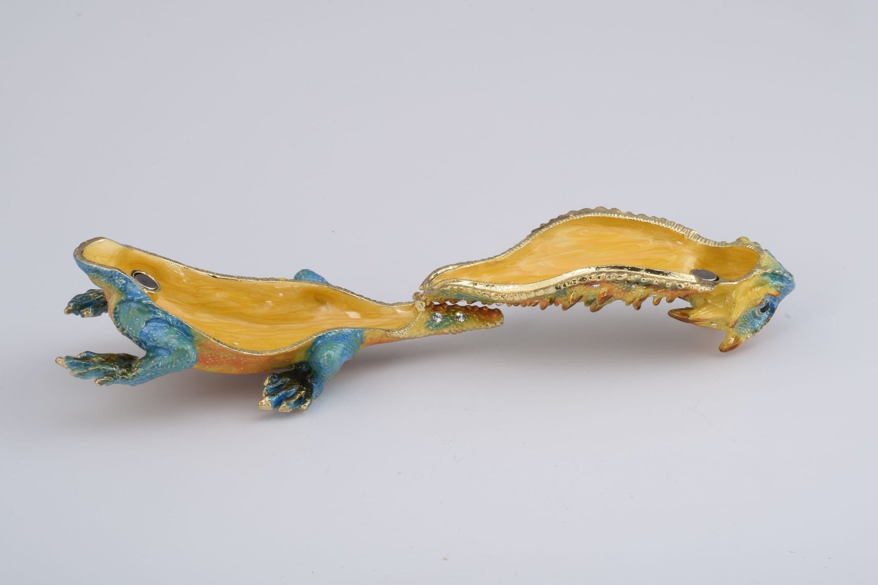 Keren Kopal Blue & Yellow Agama Dragon
