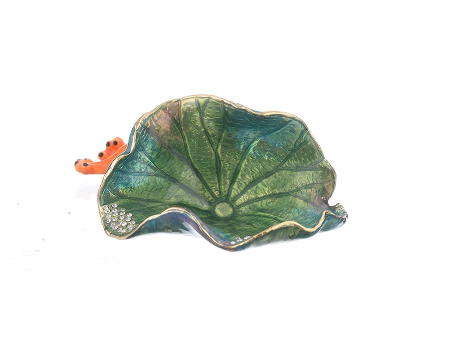 Keren Kopal Frog Lying on Leaf