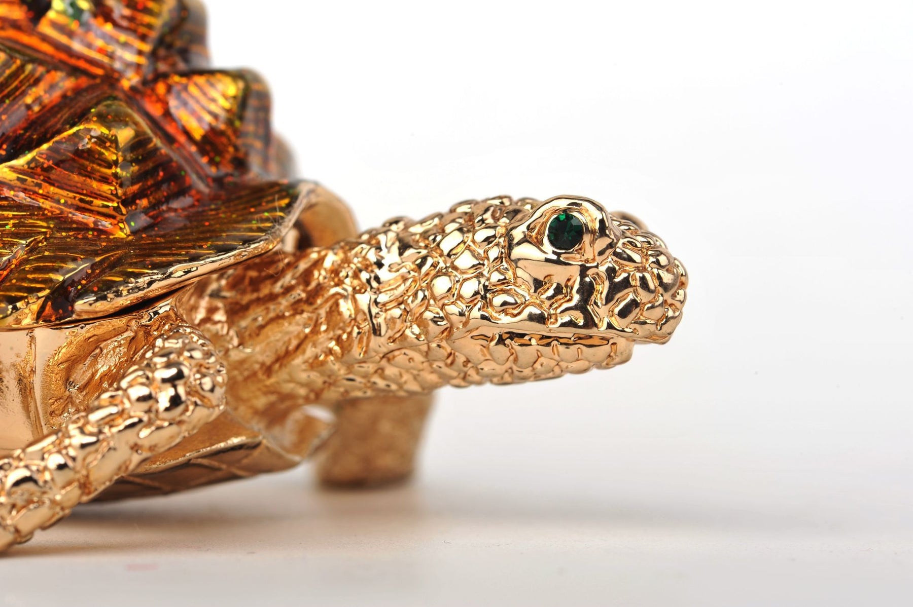 Keren Kopal Frog on a Turtle