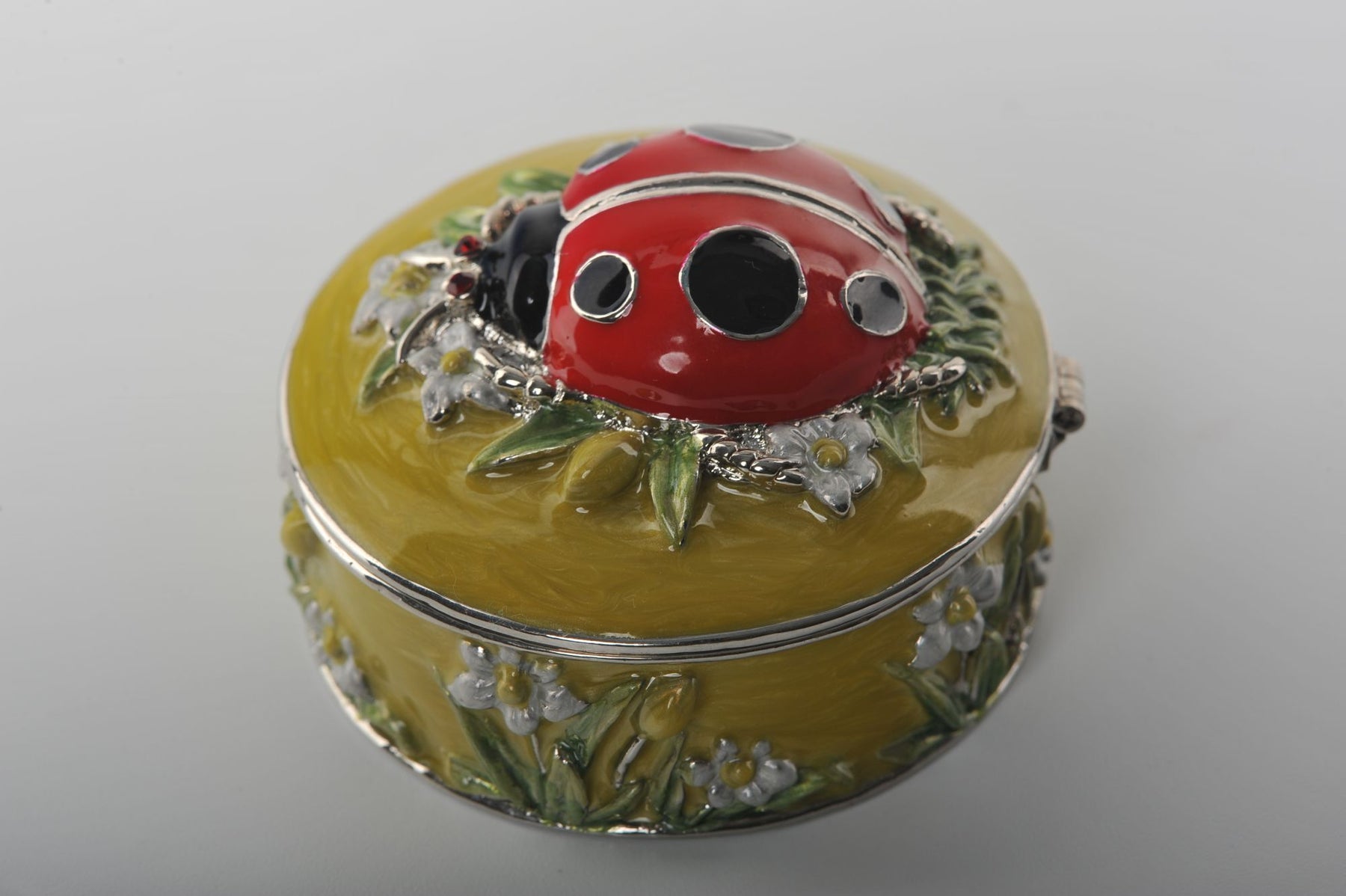 Keren Kopal Green Box with Red Ladybug