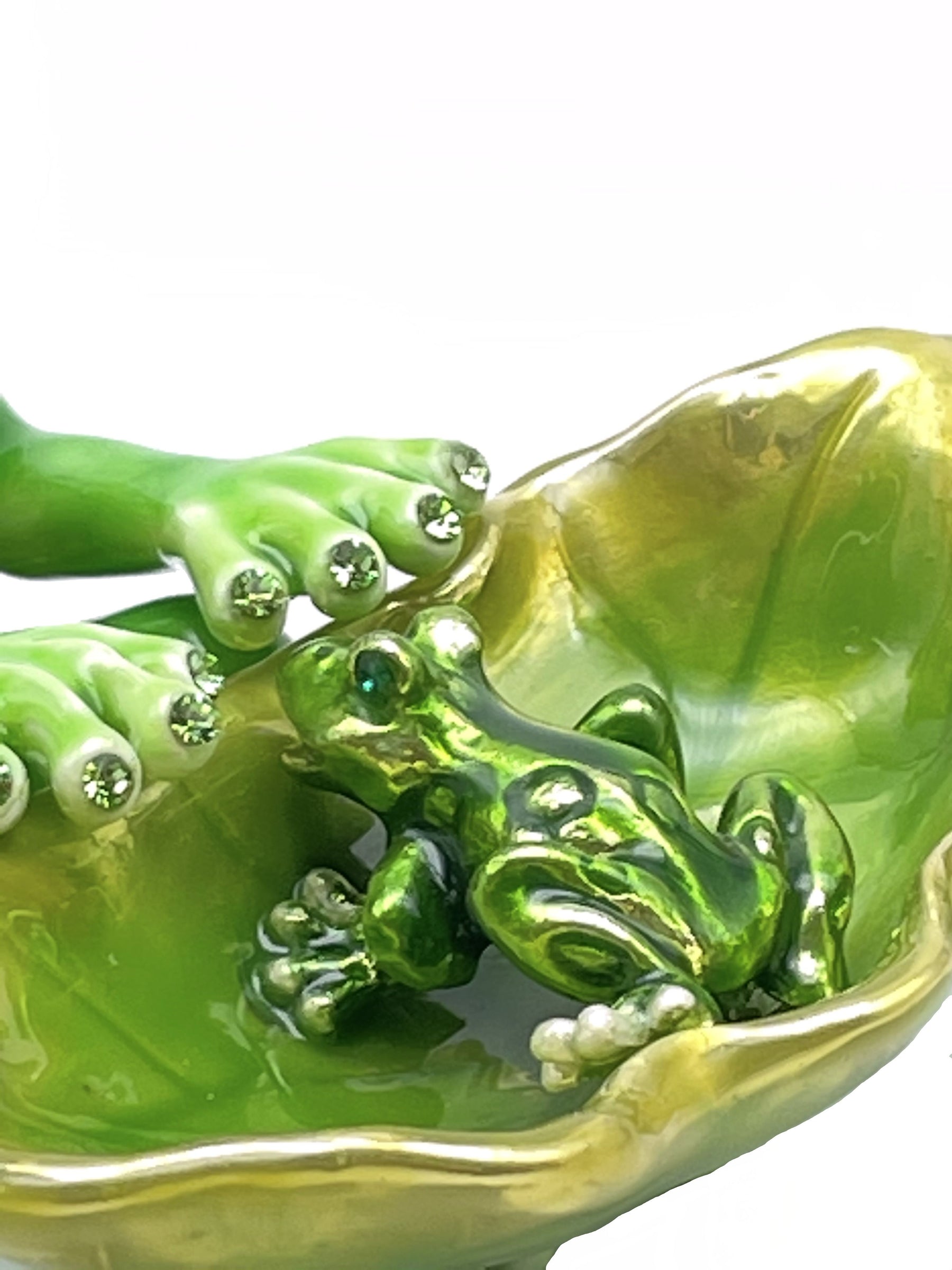 Keren Kopal Frogs