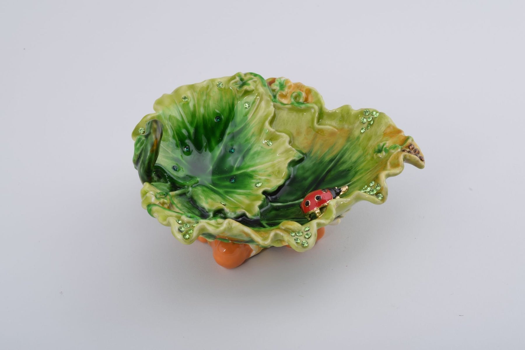 Keren Kopal Lettuce with a Red Ladybug