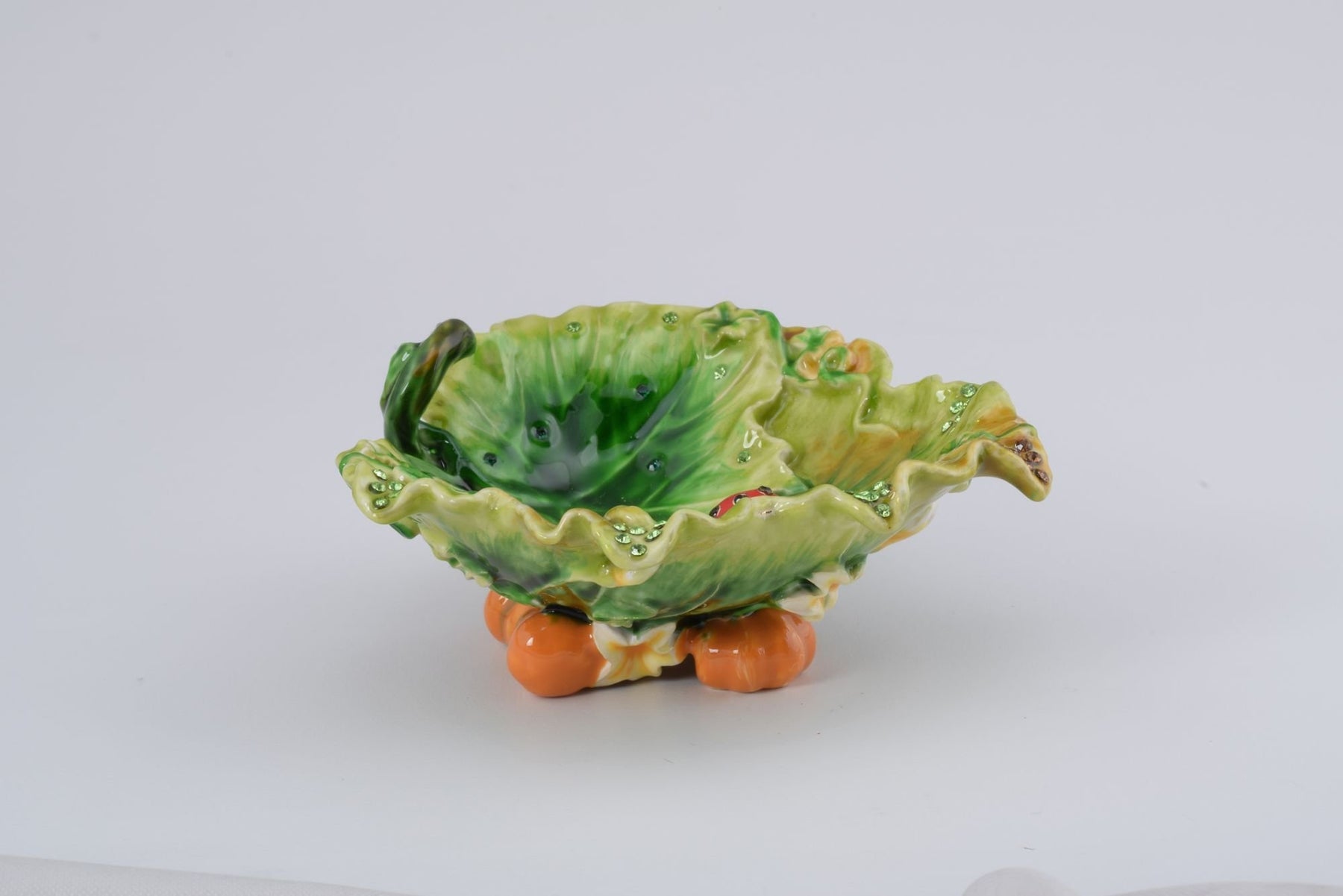 Keren Kopal Lettuce with a Red Ladybug