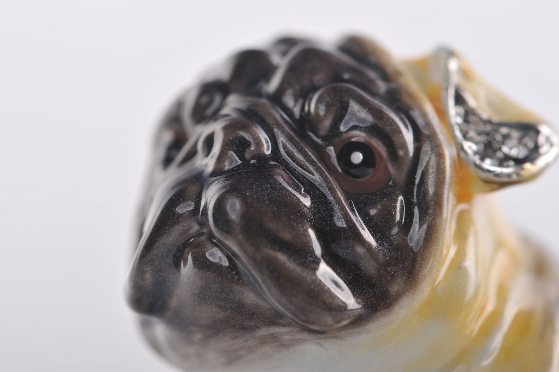 Keren Kopal Pug Dog