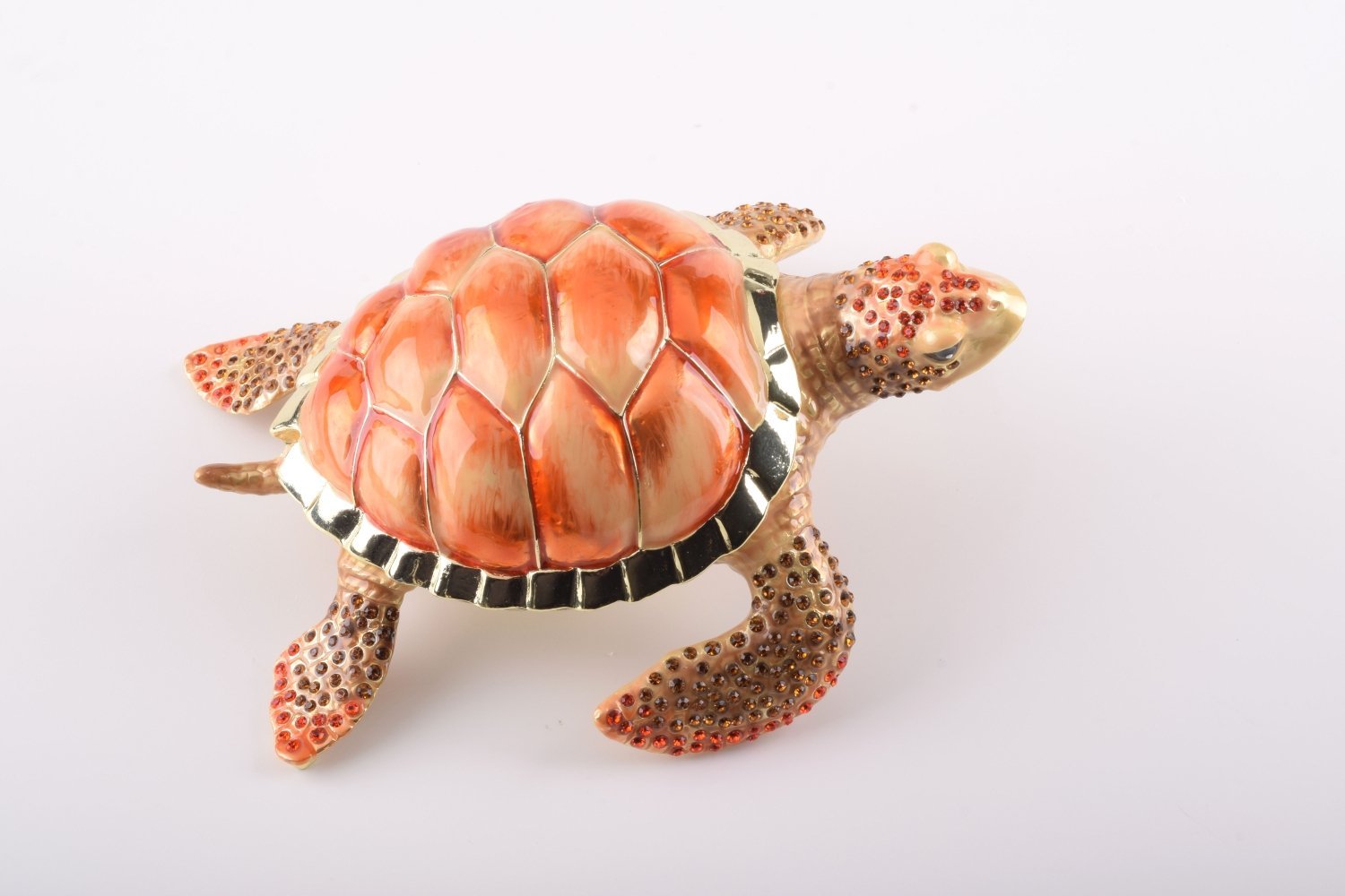Keren Kopal Red Sea Turtle
