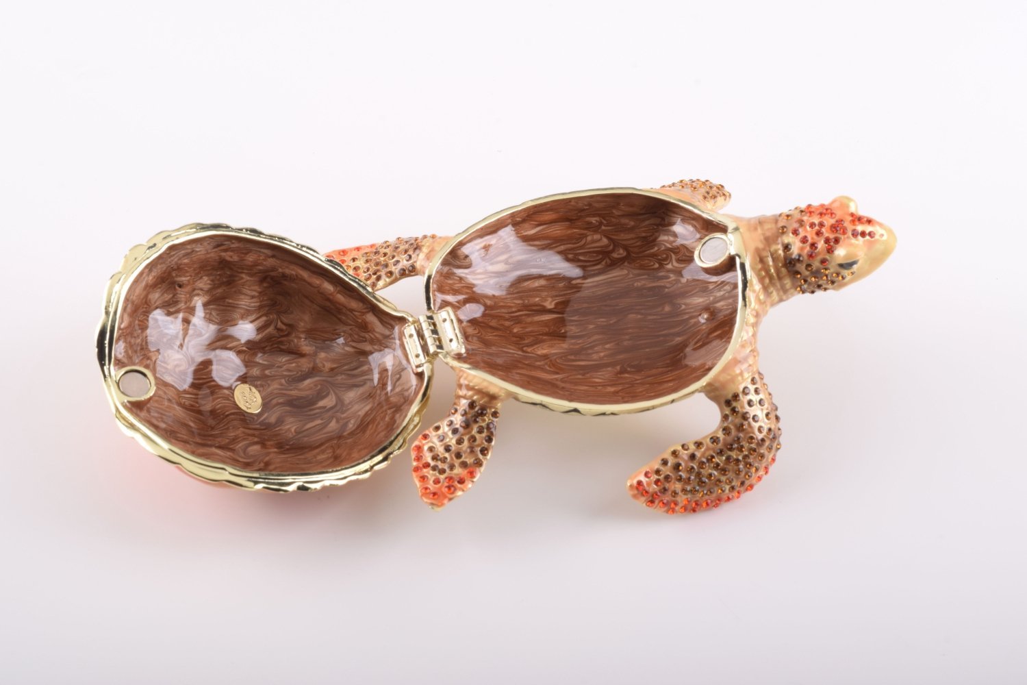 Keren Kopal Red Sea Turtle