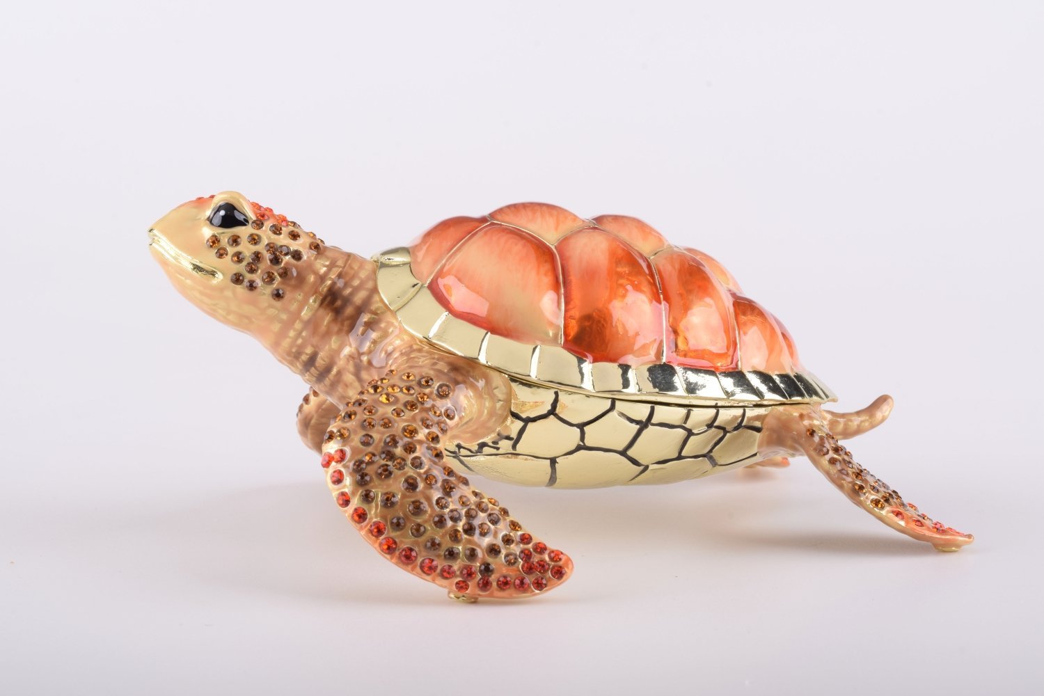 Keren Kopal Red Sea Turtle