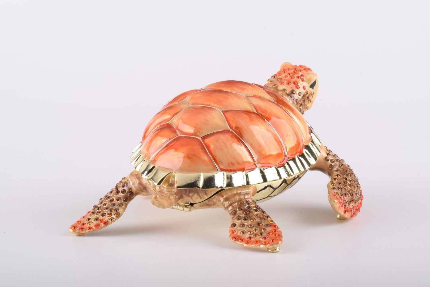 Keren Kopal Red Sea Turtle