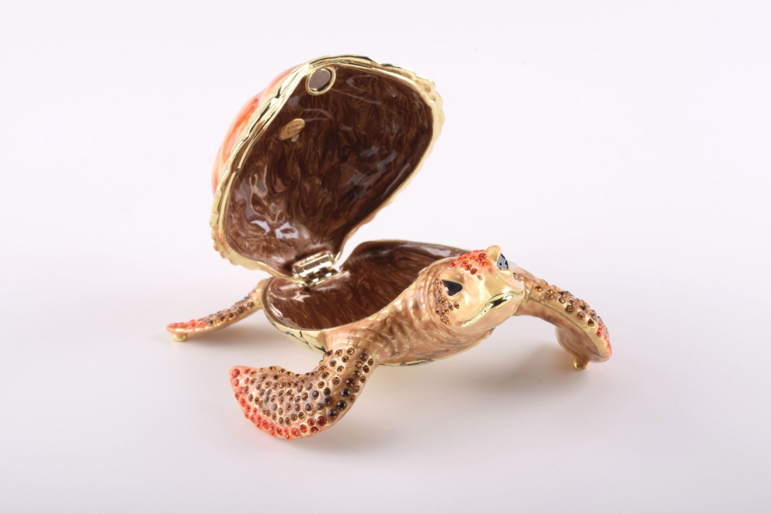 Keren Kopal Red Sea Turtle