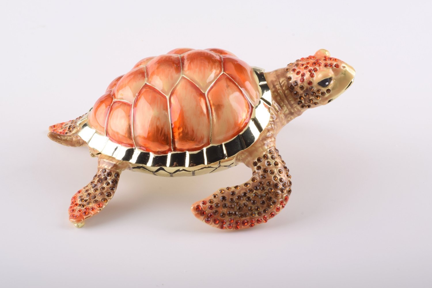 Keren Kopal Red Sea Turtle