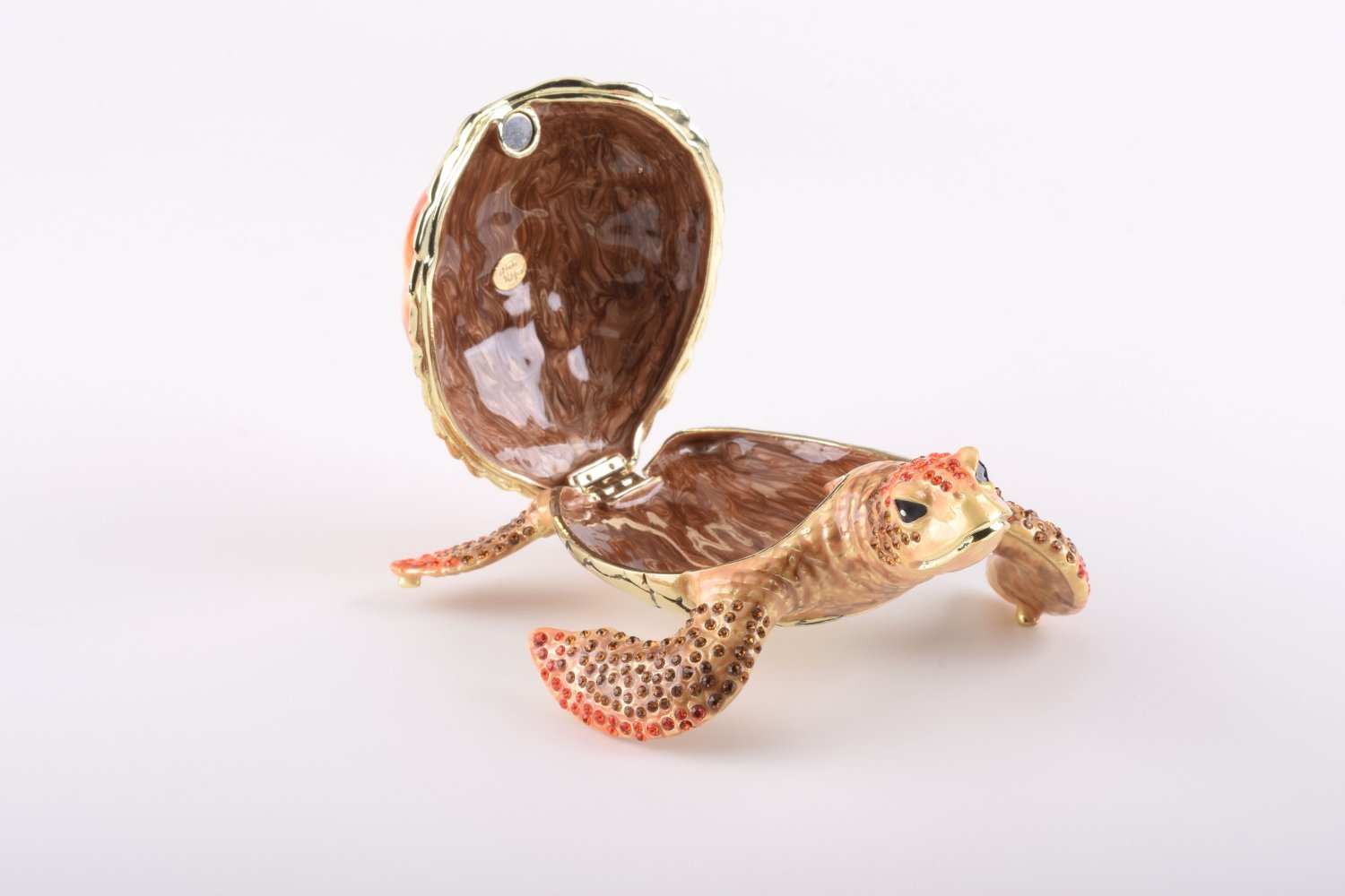 Keren Kopal Red Sea Turtle