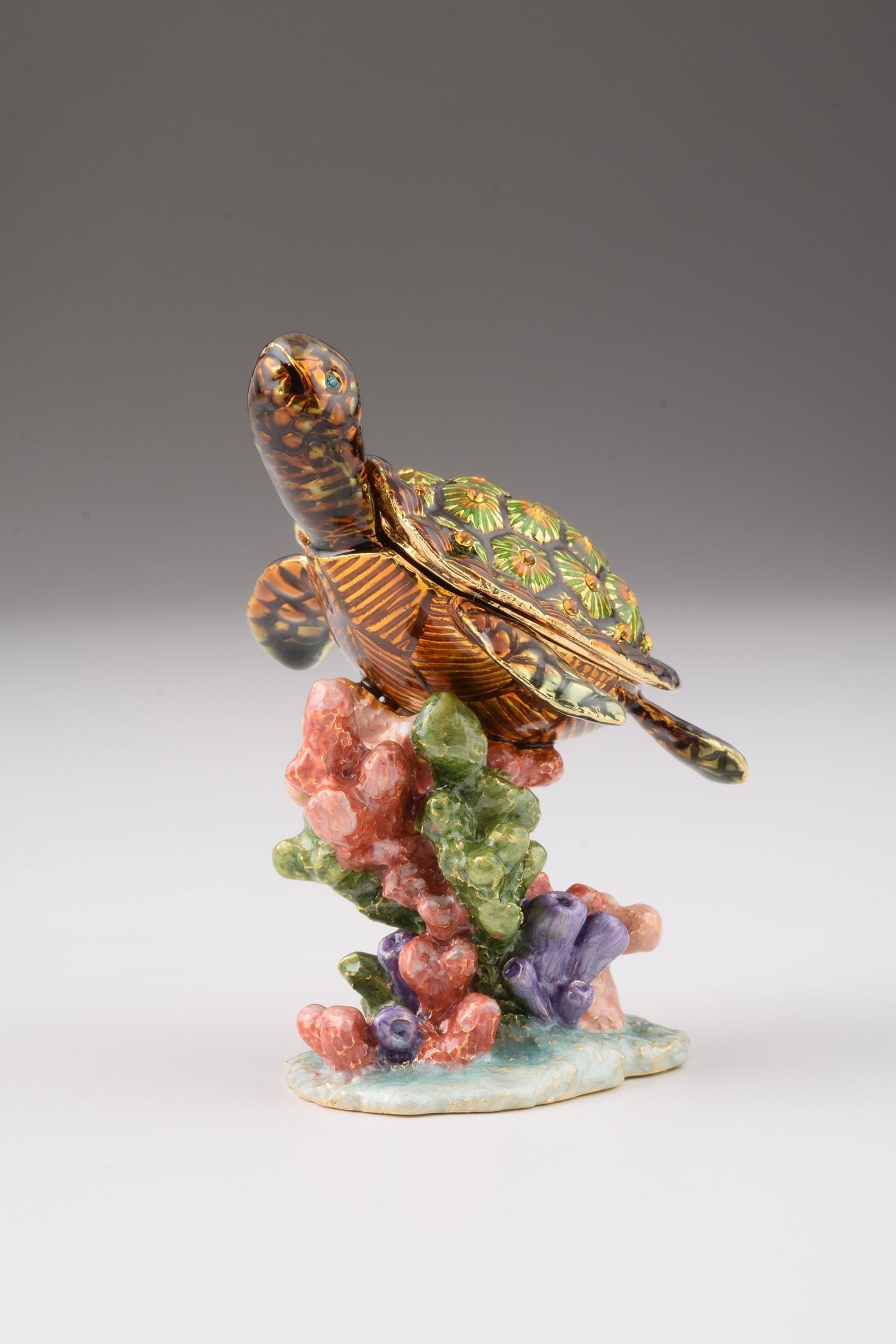 Keren Kopal Turtle on a Rock