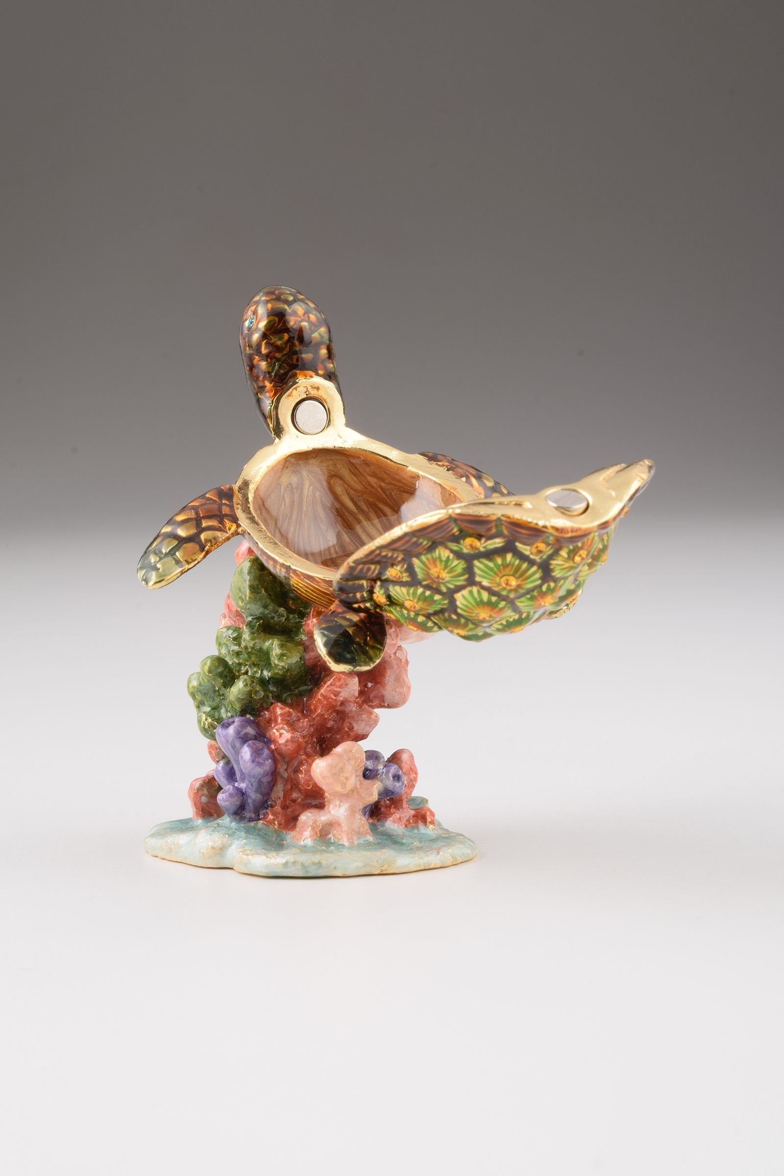 Keren Kopal Turtle on a Rock
