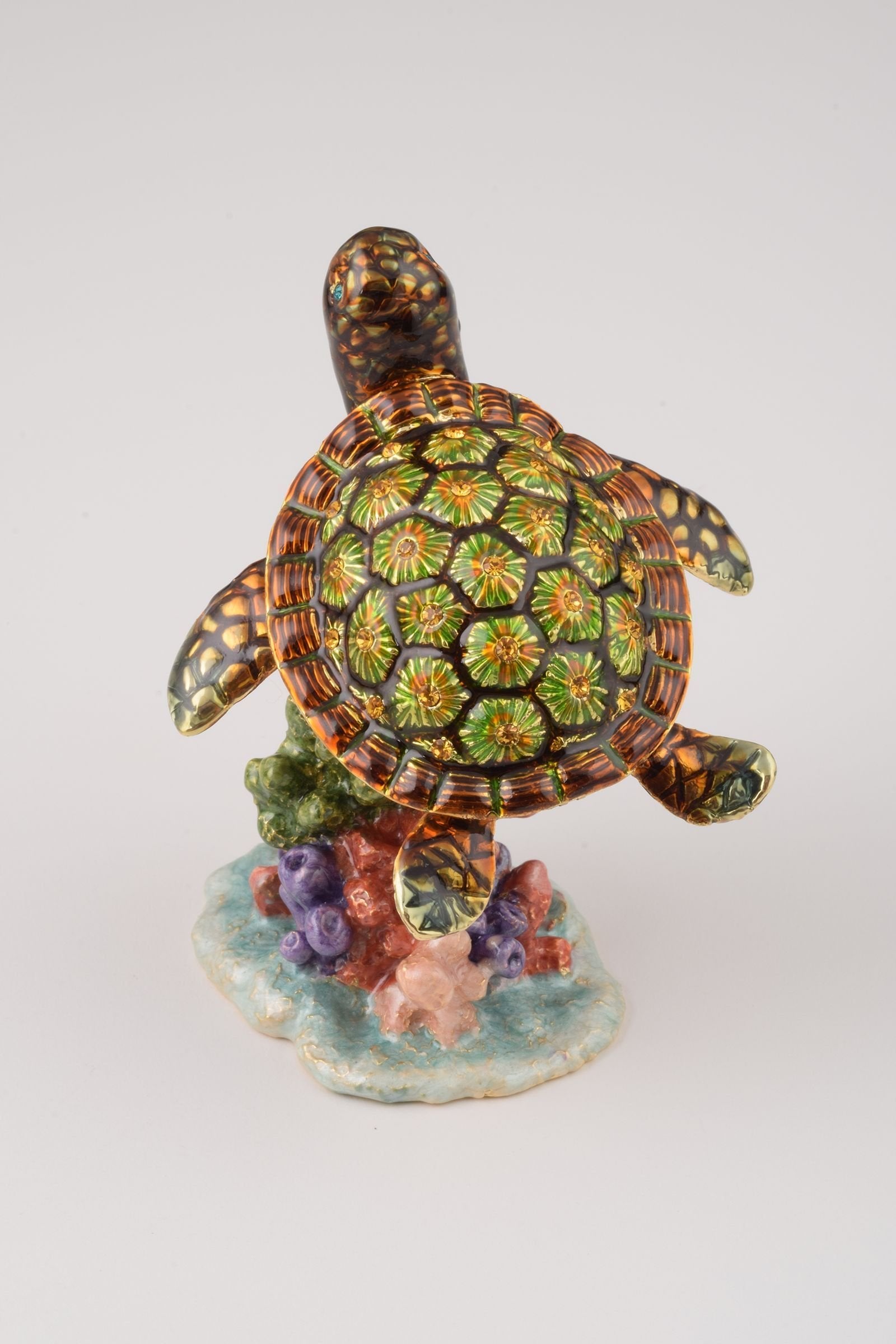 Keren Kopal Turtle on a Rock
