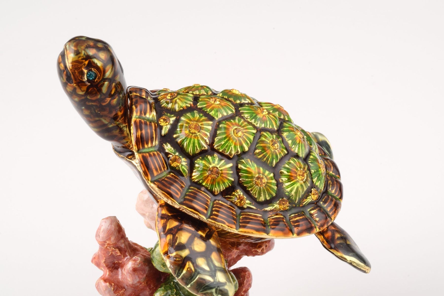 Keren Kopal Turtle on a Rock