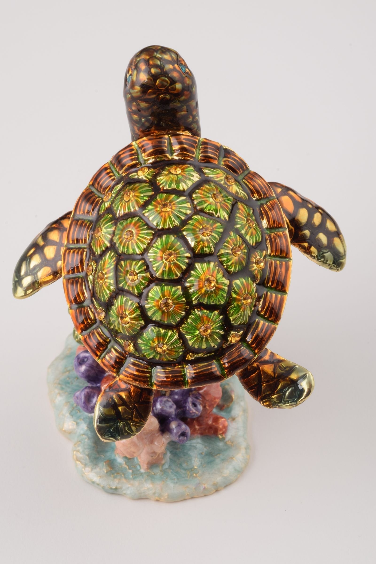 Keren Kopal Turtle on a Rock