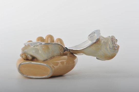 Keren Kopal Zodiac Dog Laying on Hand