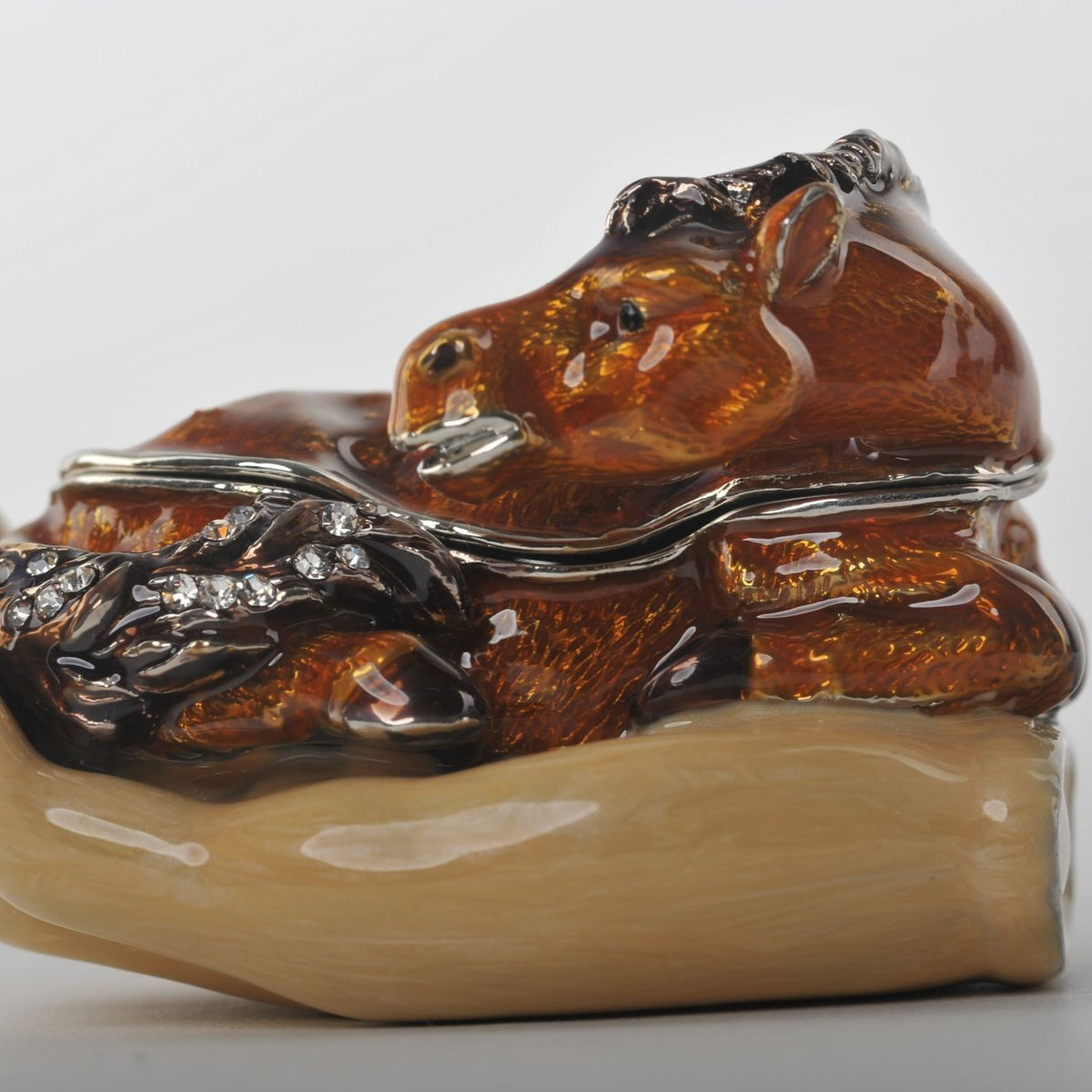 Keren Kopal Zodiac Horse Laying on Hand