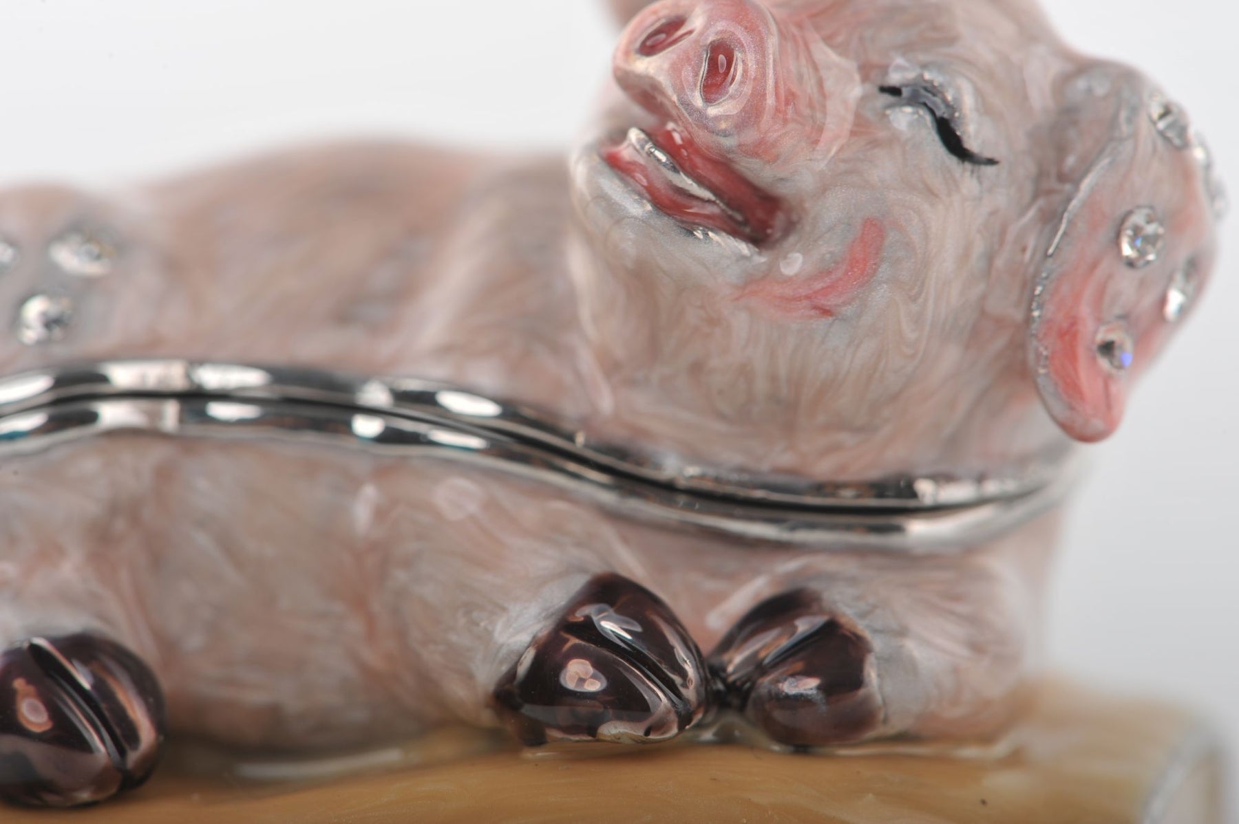 Keren Kopal Zodiac Pig Laying on Hand