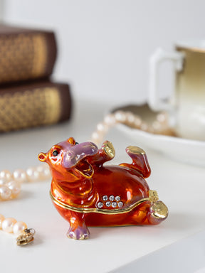 Happy Hippo Laying on His Back