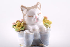 Keren Kopal Cat in a Shoe