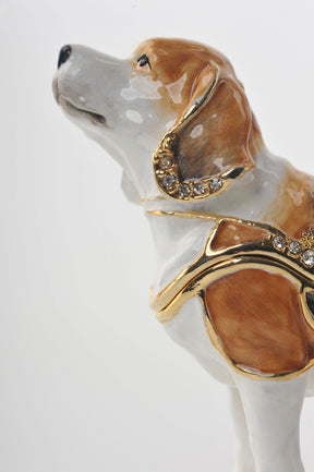 Keren Kopal Brown & White Dog