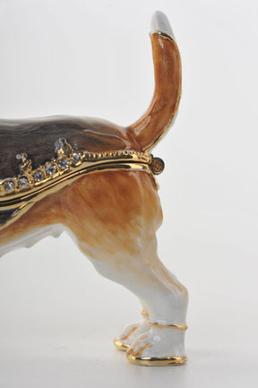 Keren Kopal Brown & White Dog