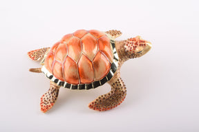 Keren Kopal Red Sea Turtle
