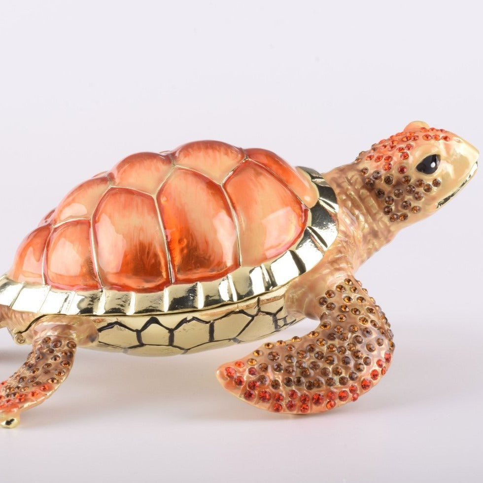 Keren Kopal Red Sea Turtle