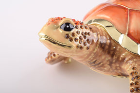 Keren Kopal Red Sea Turtle