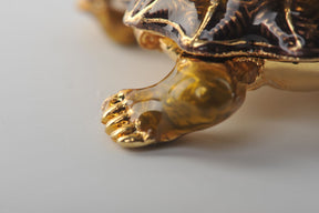 Keren Kopal Rough Shell Turtle