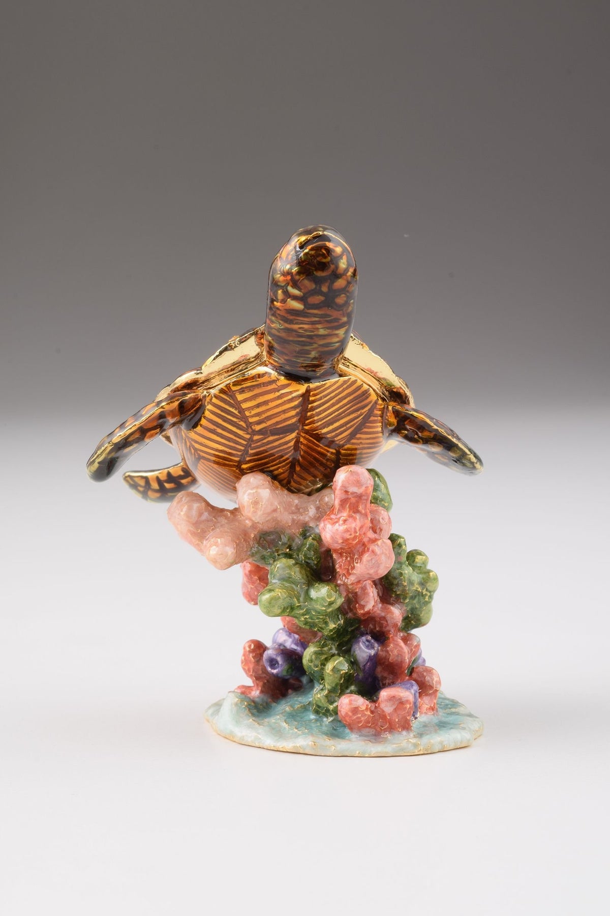 Keren Kopal Turtle on a Rock