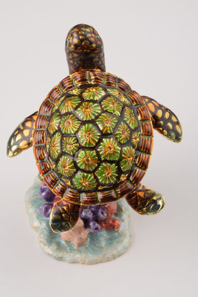 Keren Kopal Turtle on a Rock