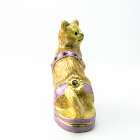 Keren Kopal Cat sitting on an Evening Shoe